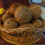 Meenakshi_J-Coconut-Climate-Solutions-Bluedot-Living