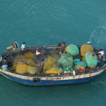Seaweed-rameswaram-meenakshi-bbc